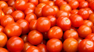 Selon l’Association nationale de producteurs de tomates et concombres, les invendus de tomates cerises françaises « se multiplient » en cette fin de saison. Selon l’Association nationale de producteurs de tomates et concombres, les invendus de tomates cerises françaises « se multiplient » en cette fin de saison.